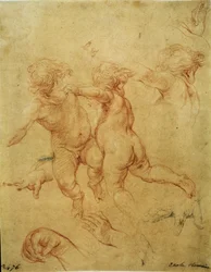 二人のプッティのための習作 (Two Flying Putti. Study), c.1740 (sanguine)