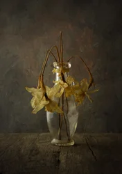 ムーディな花の静物画
