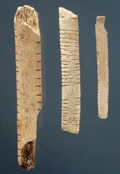 3つの装飾された骨（bone）