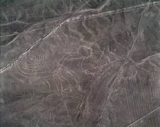 ナスカの地上絵「猿の像」（撮影