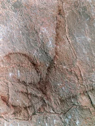 カモシカ」像、岩絵、旧石器時代（紀元前40000～12000年頃）（写真）