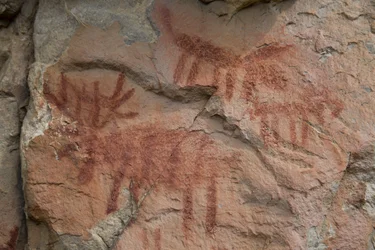 洞窟壁画、サーモン チャリス国有林 (写真)