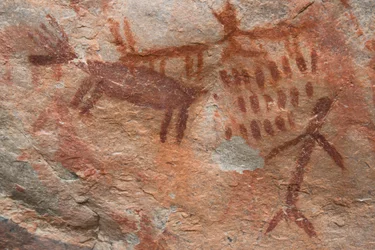 洞窟壁画、サーモン チャリス国有林 (写真)