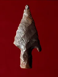 エジプトの古代人：エジプトのファユーム（FayyumまたはFayum）の遺跡から出土した矢の先端。先代の時代。イタリア・ヴェローネ市民自然史博物館蔵