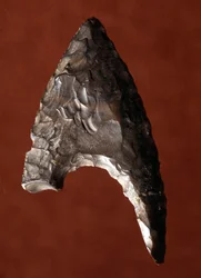 エジプトの古代人：エジプトのファユーム（FayyumまたはFayum）の遺跡から出土した矢の先端。先代の時代。イタリア・ヴェローネ市民自然史博物館蔵