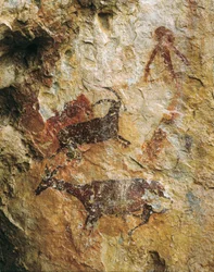 鹿とアイベックスの狩猟場面（紀元前25000～15000年頃）。上部旧石器時代。エル・ペレロ、ラ・カブラ・フレイシェットの洞窟。