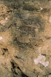 中石器時代のロックアート。鹿と山羊（紀元前8000～7000年）、スペイン、バイコープ、ラ・アラーナ洞窟（絵画
