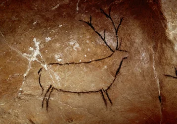 先史時代：後期旧石器時代（マドレーヌ文化）のシカの岩絵、16,500年から14,000年前、スペイン、モンテ・カスティーリョ、ラス・チメネアス石器時代洞窟