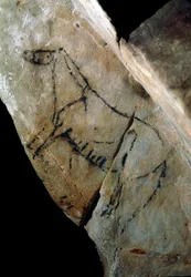 先史時代。「スタイルIVの岩絵、上部旧石器時代（マグダレニアン）（18000年前から14000年前の間） ラス・モネダスの石器時代の洞窟、サンタンデール、スペイン - 先史時代：馬。岩絵、スタイルIV、上部旧石器時代（マグダレニアン）（間