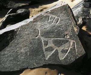 先史時代、ロックアート：牛の表現の深刻な岩石。Tazinaスタイル。石器時代紀元前5000-2000年。アルジェリア、ホッグガル高原（アハガル）、タギット