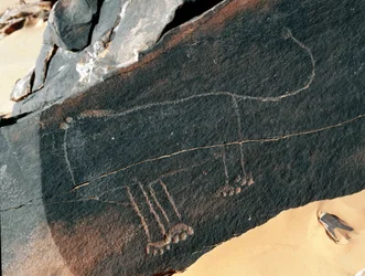 先史時代、ロックアート：ライオンの表現の墓石。Tazinaスタイル。石器時代紀元前5000-2000年。アルジェリア、ホッグガル高原（アハガル）、タギット