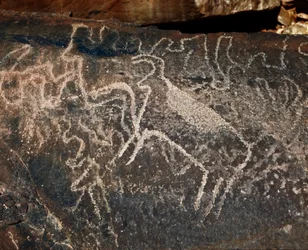 先史時代、ロックアート：牛の表現の墓石。Tazinaスタイル。石器時代紀元前5000-2000年。アルジェリア、ホッグガル高原（アハガル）、タギット