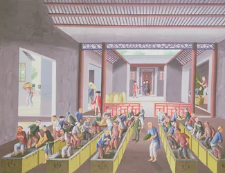 23点の絵画のアルバムからのお茶作り、1790年頃（紙の色）