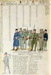 イタリア王国の準州民兵隊の制服、クイント・チェンニのカラー図版