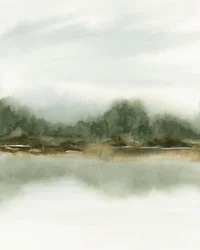 霧の森の映り込み