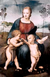ゴールドフィンチのマドンナ、1507