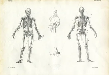 人間、1863-79