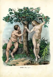 人類、1863-79