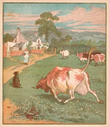 これは、角を丸めた牛です...、c1878。