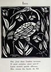 トキ、ギョーム・アポリネール（1880-1918）の「獣戯画」または「オルフェウスの行列」の挿絵、1911年（木版画）