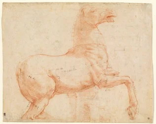 Marmorihevonen Quirinal Hillillä (recto), n. 1513 (punainen liitu, kynä, ruskea muste, lyijykärki ja kynä)