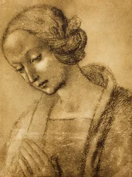 ラファエルが描いた聖母。内閣描画と版画、ウフィツィ美術館、フィレンツェ