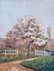 桜、1930年代（木に油彩）