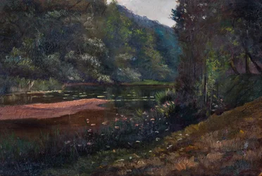 森、池、睡蓮のある風景