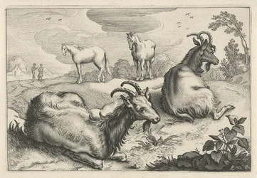 2頭のヤギと2頭の馬のいる風景 Diversa Animalia Quadrupedia (シリーズタイトル)