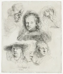 サスキアなどの頭部研究