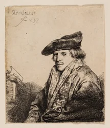 ベルベットの帽子をかぶった若者 (Petrus Sylvius?)
