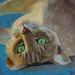 猫の運