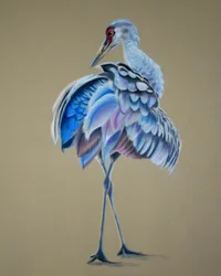 クラニッチ