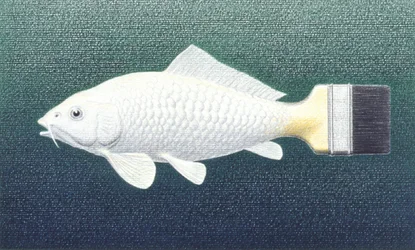 ブラッシュフィッシュ, 2003, 色鉛筆画、紙