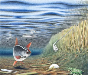 ウォーターハザード