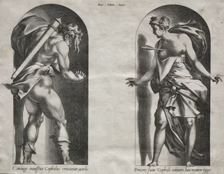 2 つのニッチで Cephalus と Procris