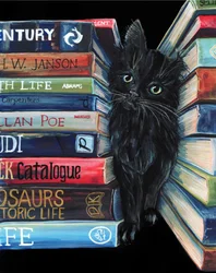 好奇心旺盛な図書館の猫