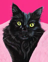 鮮やかな黒猫の肖像