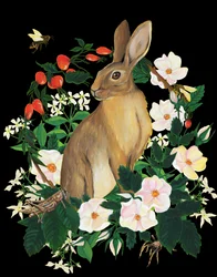 野ウサギと花