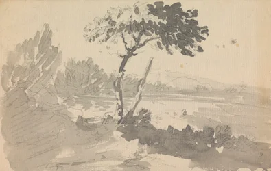 árvore e lago