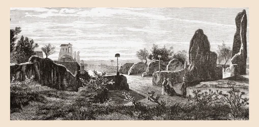 19世紀後半のイタリア、ローマ、パラティーノの丘、カエサル宮殿跡。1890年頃に出版されたサミュエル・マニング師によるイタリアの写真より。