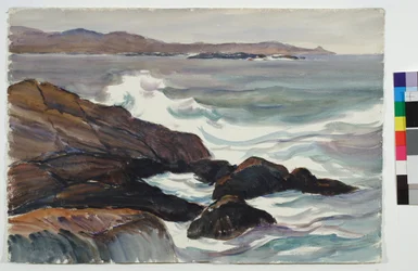 オヒョウ ポイント