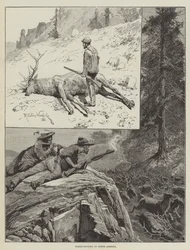 ワピチ-北アメリカでの狩猟（エングレービング