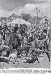 1920年頃の「ハチソンのイギリス国民の物語」より、サクソン時代のクマの餌食