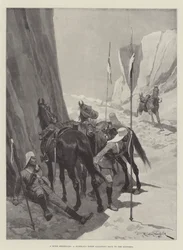 ダムメッセンジャー、サポートにギャロッピングするライダーレスの馬