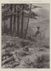 アジア高地でのスポーツ