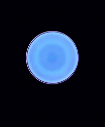 Circle X, 2005 (digital c-type photogram)   1429014   ja       japanese Successfully Translated  Original: Doronicum pardalianches (hjertebladet gemserod); Rudbeckia laciniata (fliget solhat) Translat: Doronicum pardalianches (hjertebladet gemserod); Rudbe