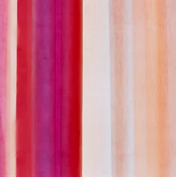 ストライプIX、2005年