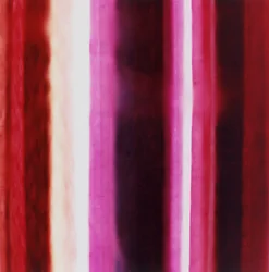 ストライプXIII、2005年