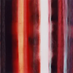 ストライプ XIV, 2005